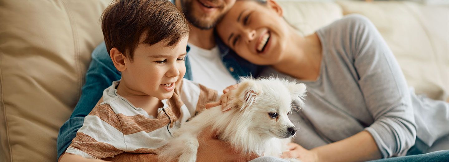 Meridiano Seguros adds a new pet cover to its Funeral Plans