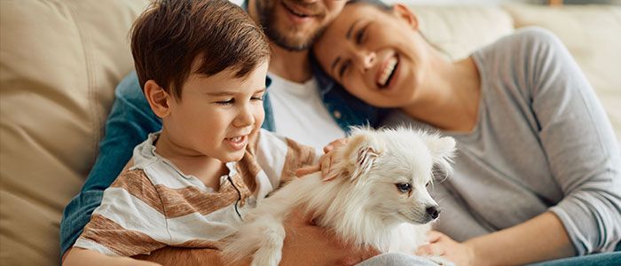 Meridiano Seguros suma a sus productos de Decesos una nueva garantía para mascotas