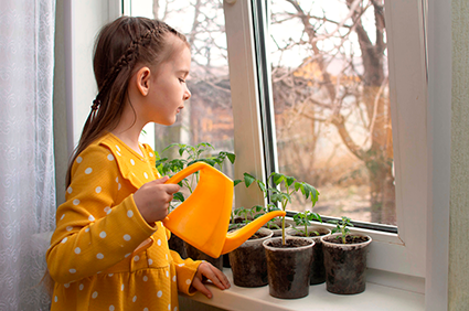 Cómo crear un mini huerto en casa