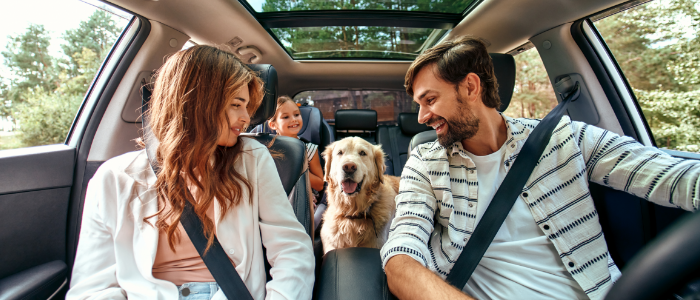 Cobertura Accidentes: ¿Qué incluye? ¿Cómo sé qué capital contratar?