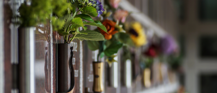 Cuánto cuesta un seguro de entierro