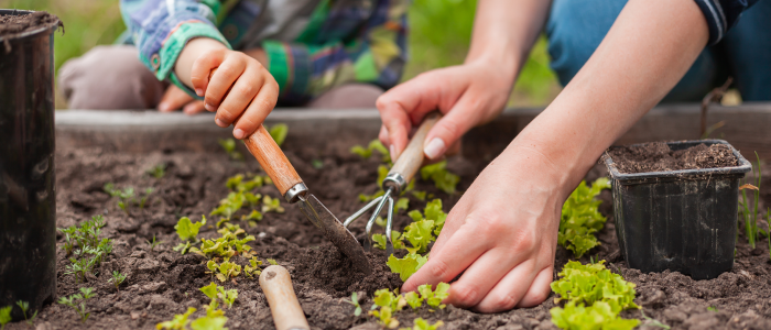 The Meridiano Seguros family guide with real impact