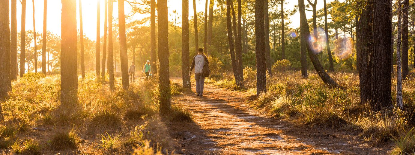 ¿Qué es y qué cubre un seguro de decesos?