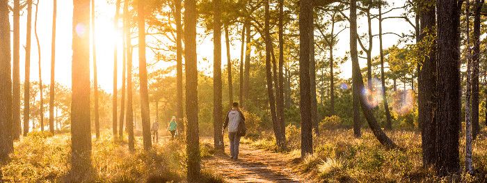 ¿Qué es y qué cubre un seguro de decesos?
